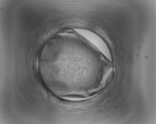 X0000081470021200701262014