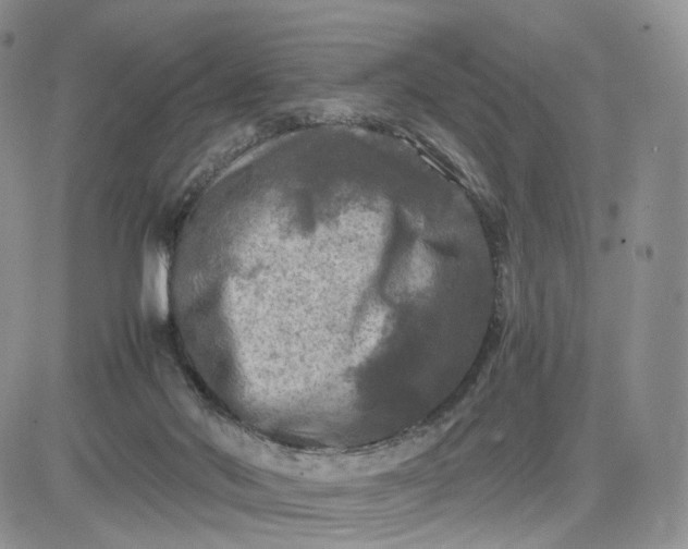 X0000081470022200701262014