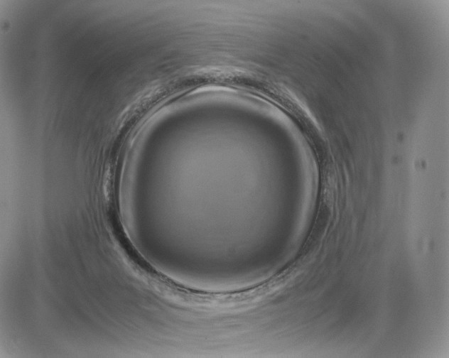 X0000081470023200701262014