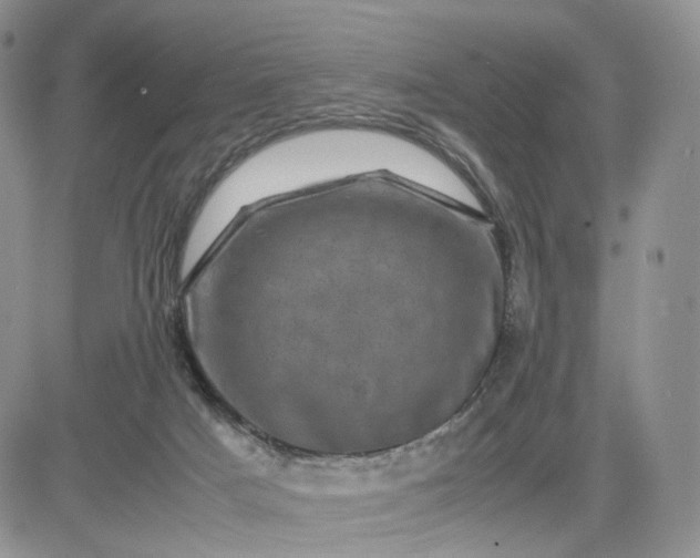 X0000081470025200701262014