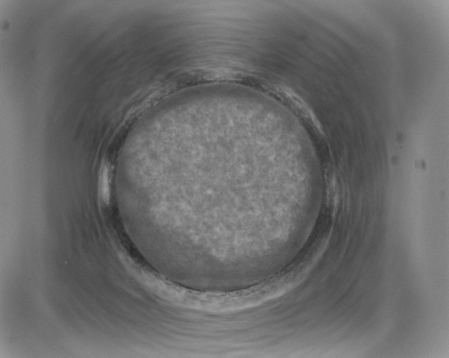 X0000081470026200701262014