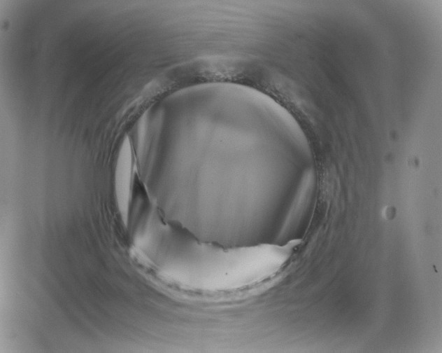 X0000081470027200701262014