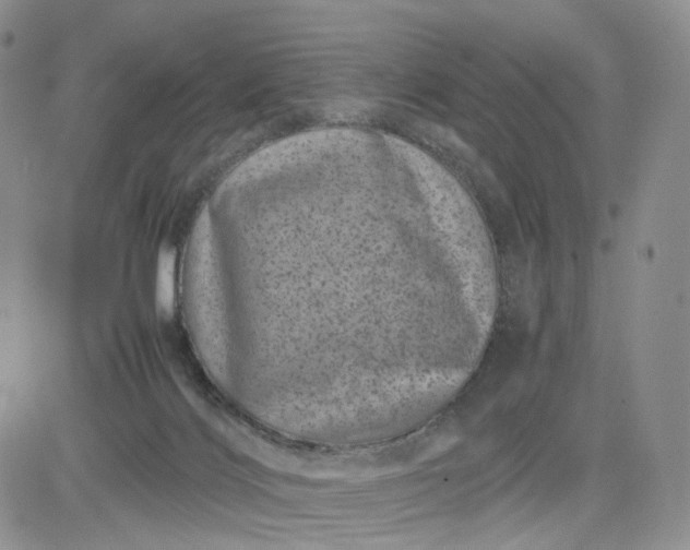 X0000081470028200701262014