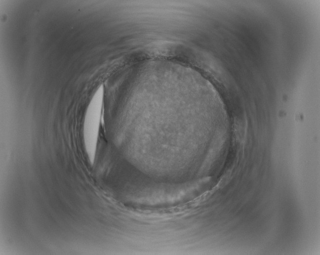 X0000081470029200701262014