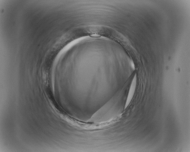 X0000081470031200701262014