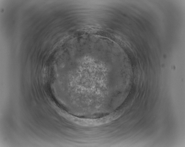 X0000081470034200701262014