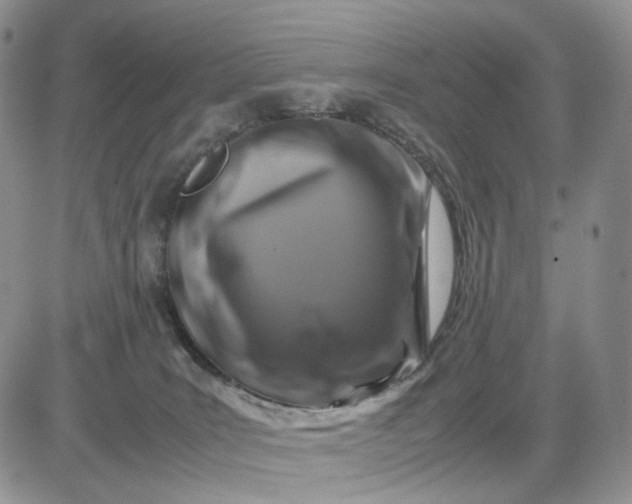 X0000081470035200701262014