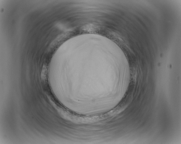 X0000081470036200701262014