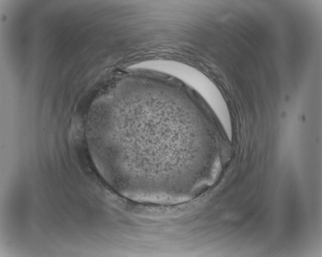 X0000081470037200701262014