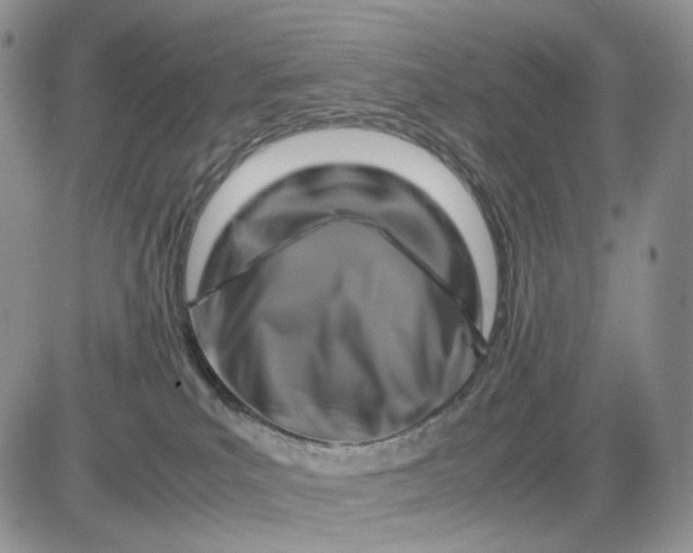 X0000081470039200701262014