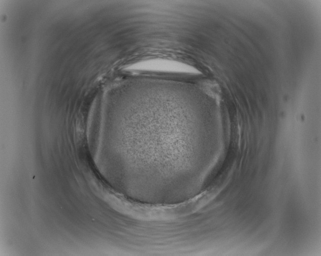 X0000081470040200701262014