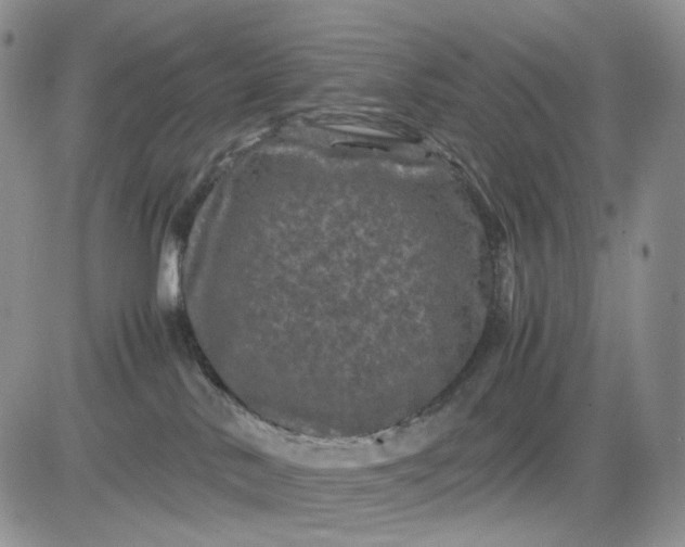 X0000081470042200701262014