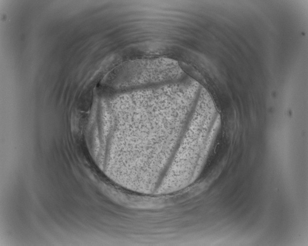 X0000081470044200701262014