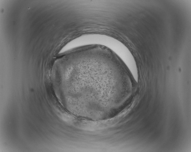 X0000081470045200701262014