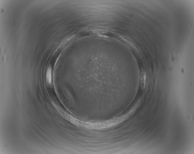 X0000081470046200701262014