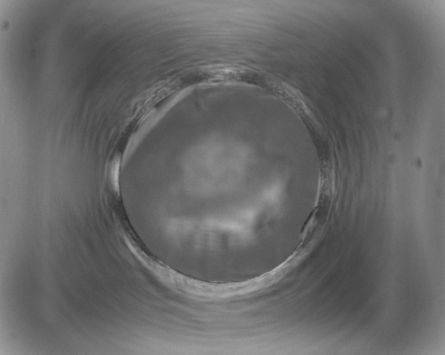 X0000081470047200701262014