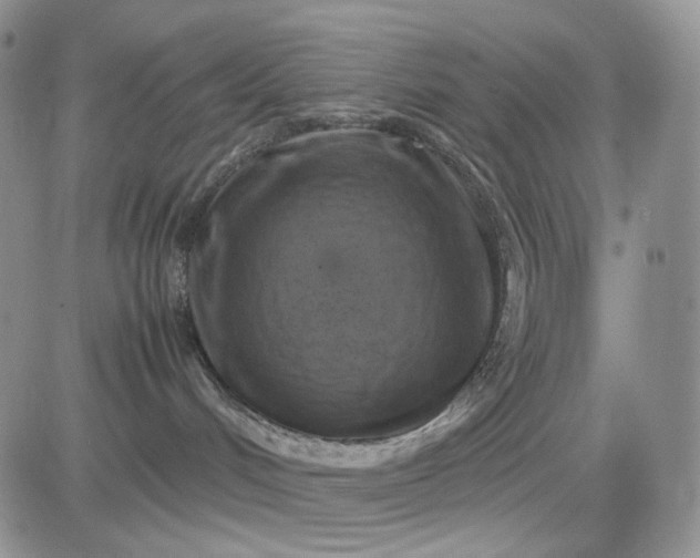 X0000081470048200701262014