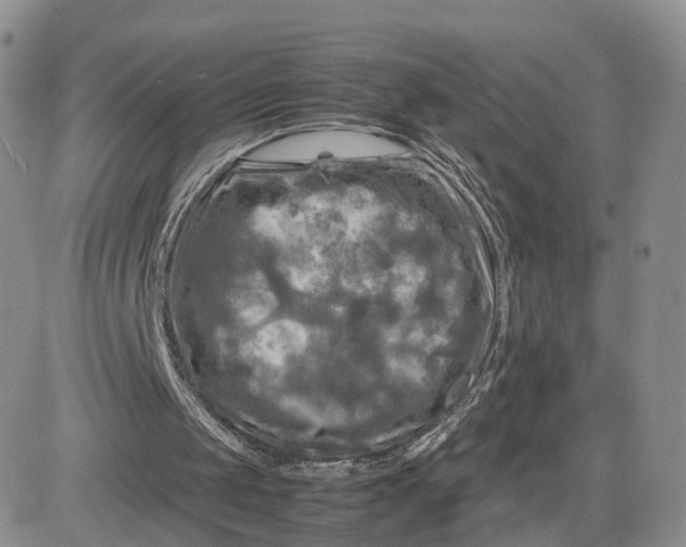 X0000081470049200701262013