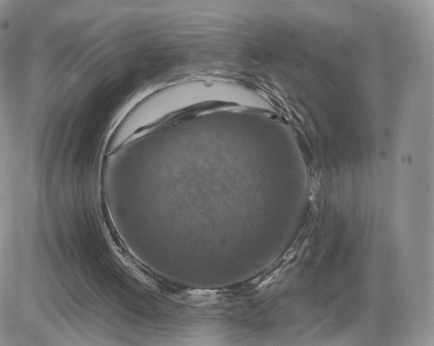 X0000081470052200701262013