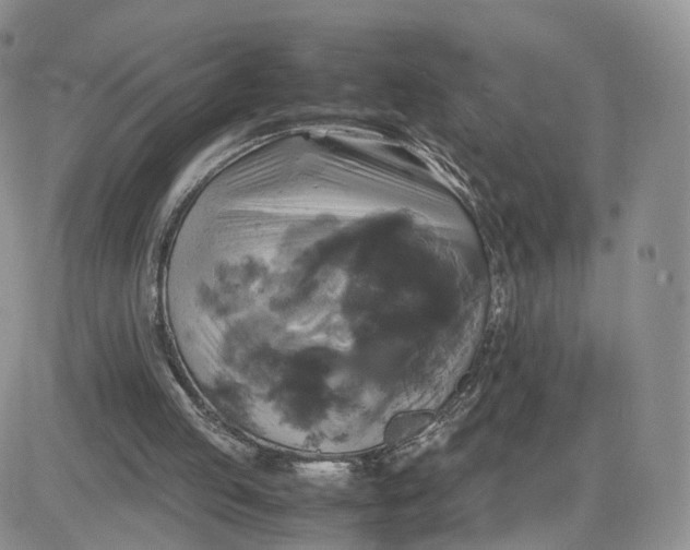 X0000081470053200701262013