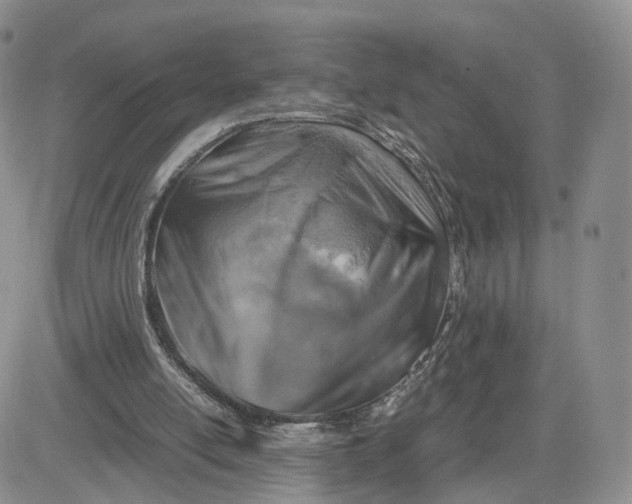 X0000081470054200701262013