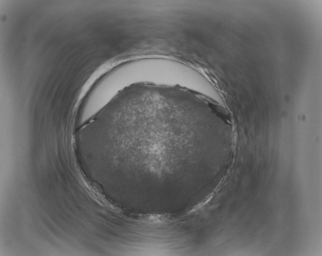 X0000081470056200701262013