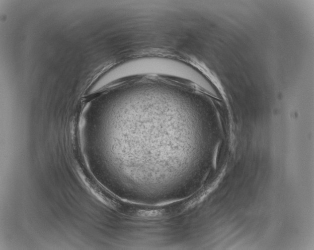 X0000081470057200701262013