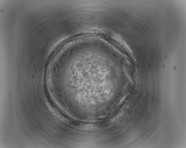 X0000081470058200701262013