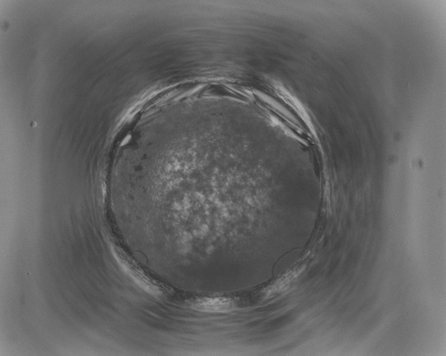 X0000081470059200701262013