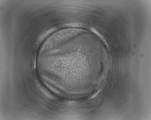 X0000081470062200701262013