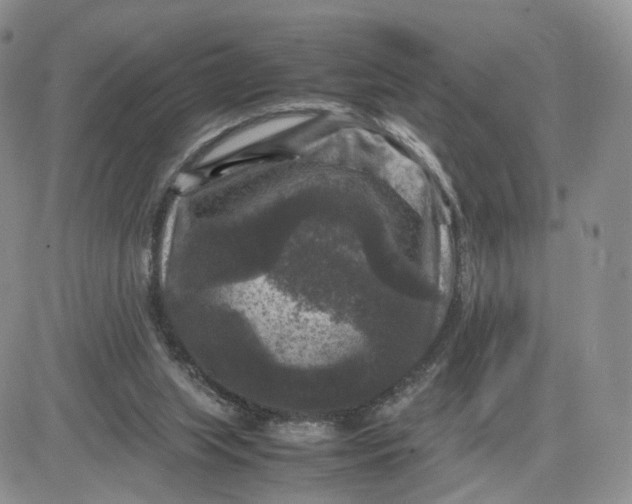 X0000081470063200701262013