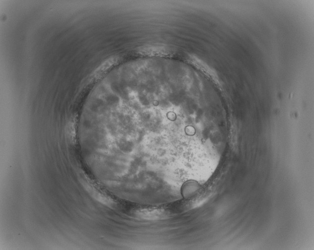 X0000081470065200701262013