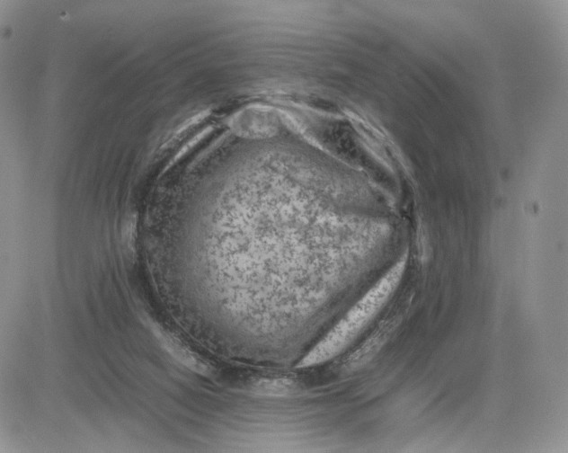 X0000081470066200701262013