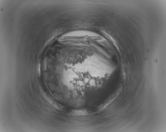 X0000081470067200701262013