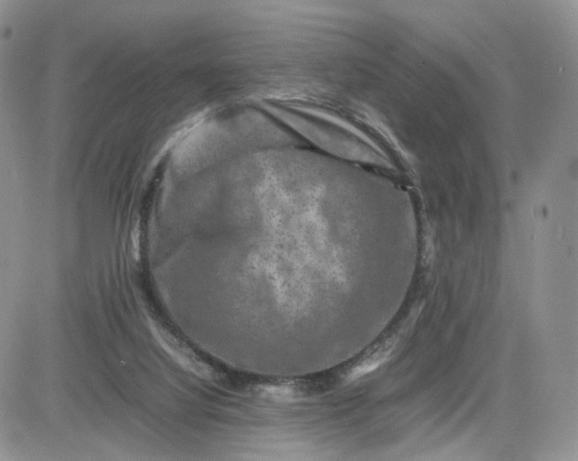 X0000081470068200701262013