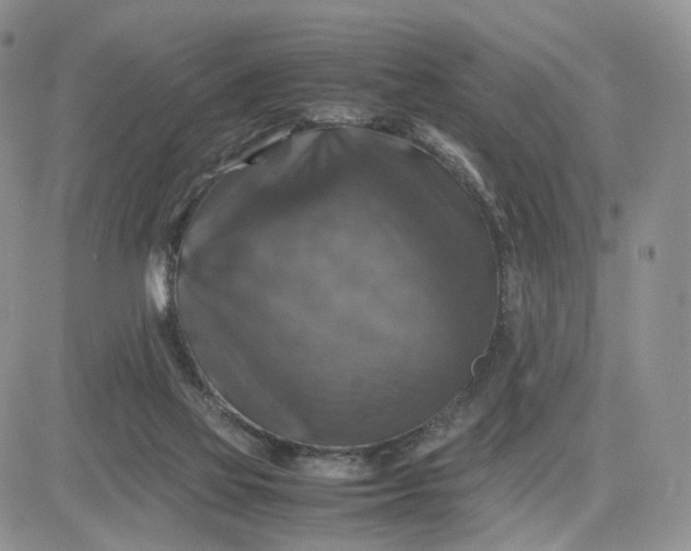 X0000081470069200701262013