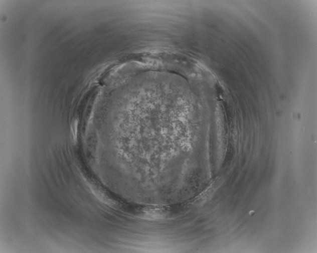 X0000081470070200701262013