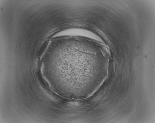 X0000081470071200701262013