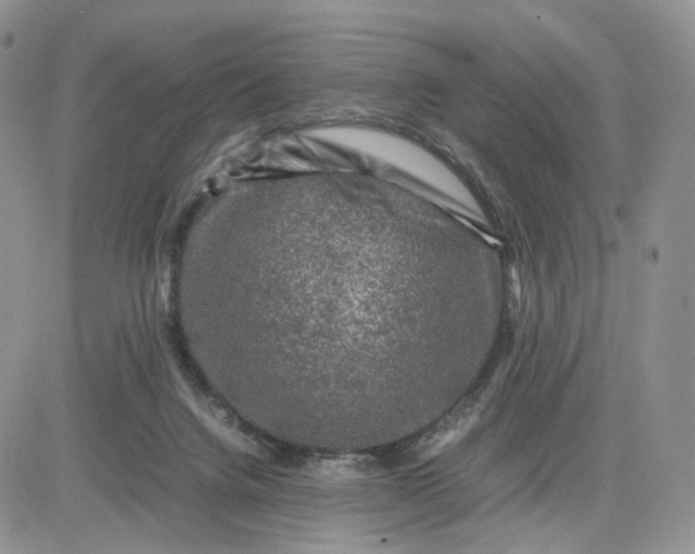 X0000081470072200701262013