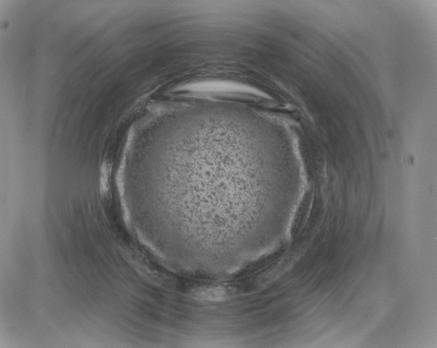 X0000081470075200701262013