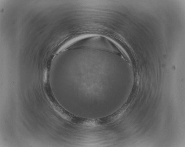 X0000081470076200701262013