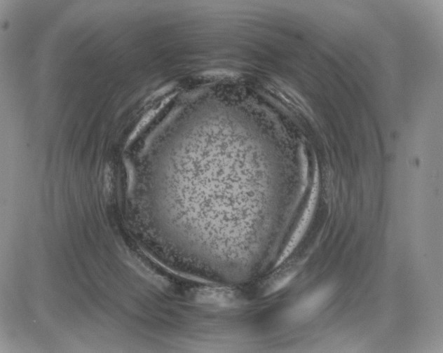 X0000081470077200701262013