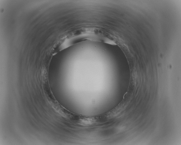 X0000081470079200701262013