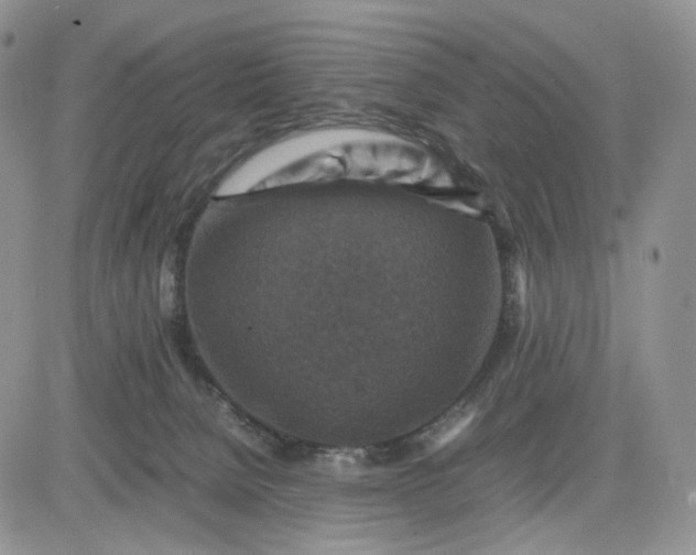 X0000081470080200701262013