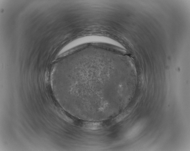 X0000081470081200701262013