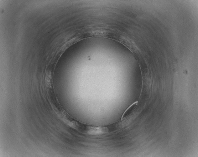 X0000081470083200701262014