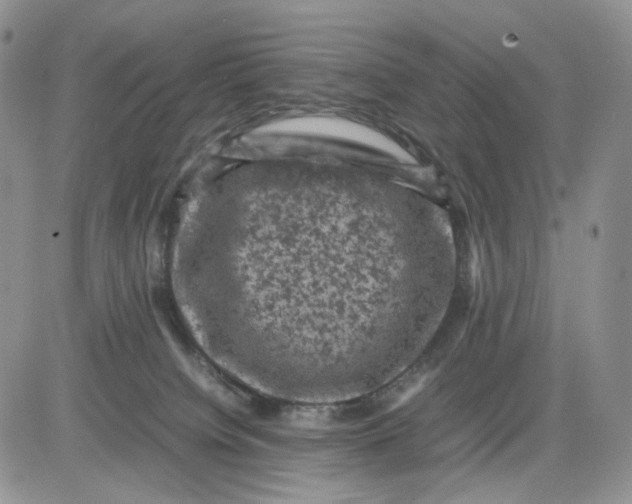 X0000081470084200701262014