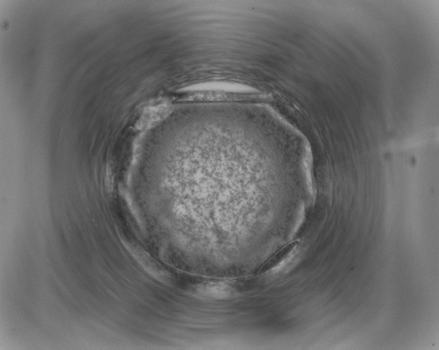 X0000081470086200701262014