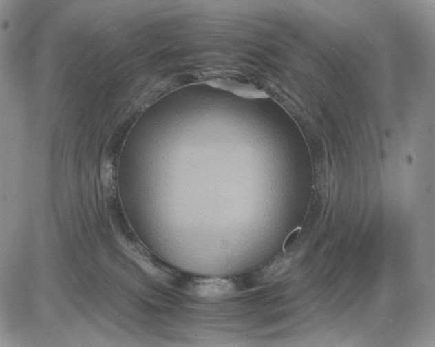 X0000081470087200701262014