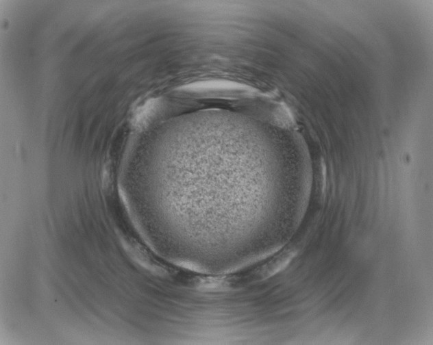 X0000081470088200701262014